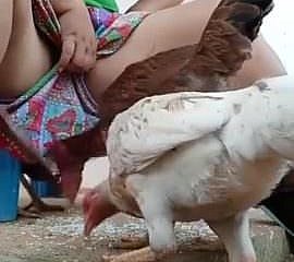 ต้องดู Desi Bhabi ให้อาหารไก่