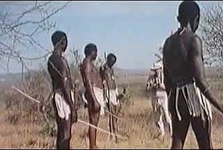 اصلی افریقی سفاری