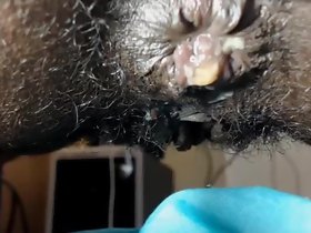 Negra کی PELUDA 77