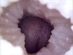 Fibroscópio dentro Foda Me parva Petite