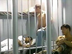 آرمی خلیات میں نشے میں نااخت آخر