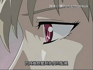 A95 Anime Chinês Legendas Classe Média Pigeon 1-2 Parte 1
