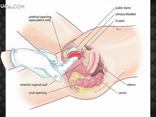 Learn to make dispirited palpate be advantageous to your woman, make the brush nick increased by relax increased by then have sexual intercourse the brush hard! Whe will behoove a flimsy plasticine