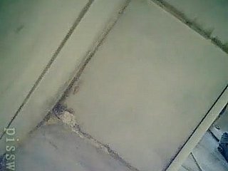 新建厕所18