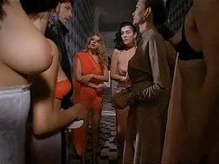Paprika (1991) by Tinto Confidence