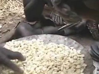 افریقہ میں سینگ ایشیائی کشور!