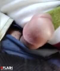 حجابي حافلة فلاش